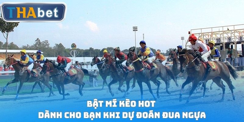 Bật mí kèo hot dành cho bạn khi dự đoán đua ngựa